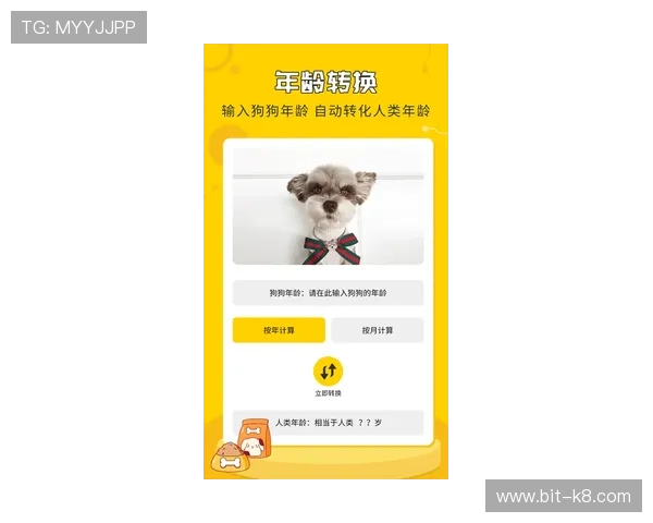 凯发备用手机客户端下载，详细步骤帮助新手快速上手