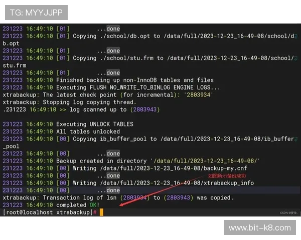 利用k8官方软件进行游戏数据备份与恢复，确保游戏进度安全无忧
