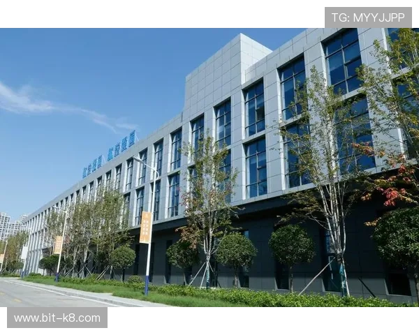 凯发网网站登录入口在哪里详细介绍以及最新登录指南